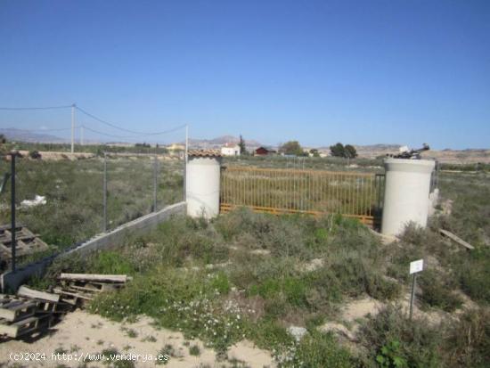 SE VENDE PARCELA EN ASPE - ALICANTE