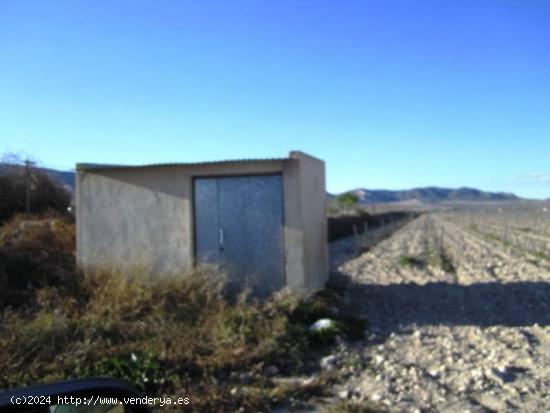 SE VENDE TERRENO EN SALINAS - ALICANTE