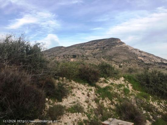 SE VENDE TERRENO EN NOVELDA - ALICANTE