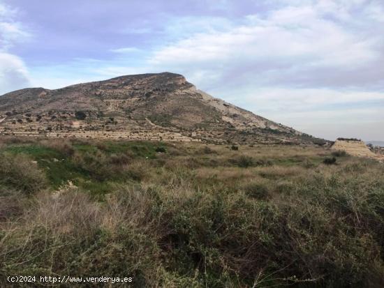 SE VENDE TERRENO EN NOVELDA - ALICANTE