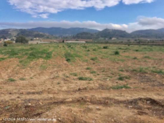  SE VENDE TERRENO EN HONDÓN DE LAS NIEVES - ALICANTE 