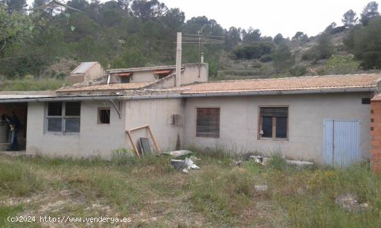 PRECIOSA FINCA ECOLOGICA  CON CASA Y SIERRA MUY ESPECIAL INCLUIDA - ALICANTE