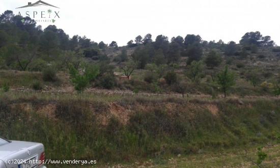 PRECIOSA FINCA ECOLOGICA  CON CASA Y SIERRA MUY ESPECIAL INCLUIDA - ALICANTE