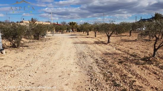 ALBERGUE CON TERRENO EN HONDON DE LAS NIEVES - ALICANTE