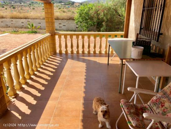 SE VENDE CHALET EN ASPE - ALICANTE