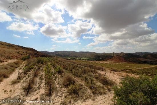 FINCA RUSTICA - ALICANTE