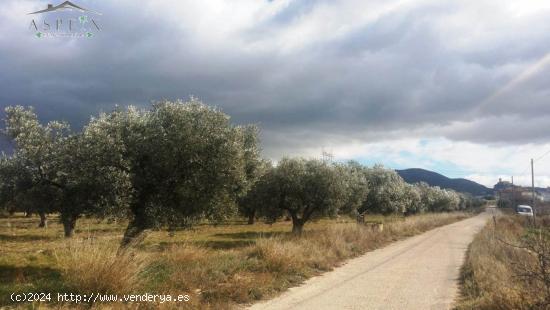 TERRENO EN BIAR - ALICANTE