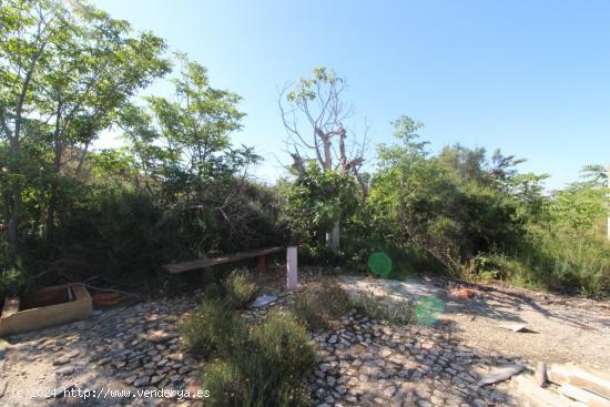 terreno en monforte con pequeño albergue y aljibe - ALICANTE