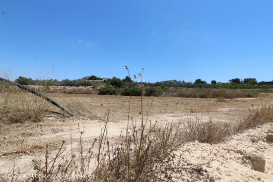 Albergue con terreno - ALICANTE