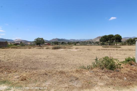 Albergue con terreno - ALICANTE