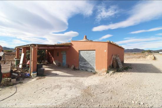 Albergue en Novelda - ALICANTE