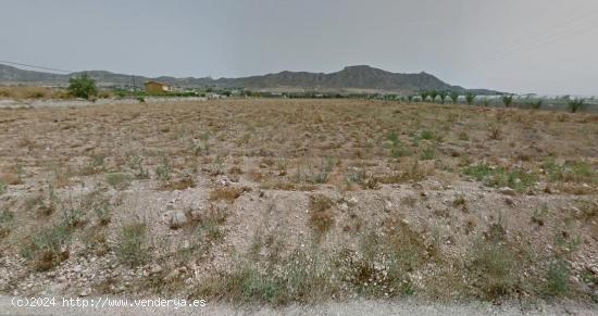 Terreno en Aspe ideal para cultivo - ALICANTE