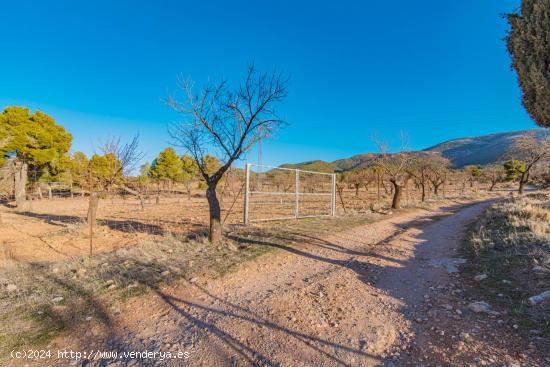 junto al parque natural de la sierra de baza un sitio para desconectar - GRANADA