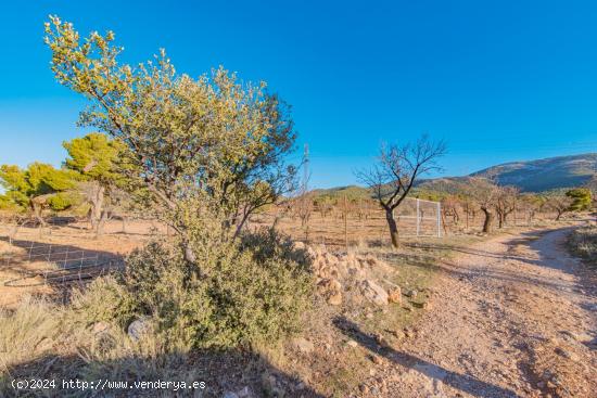 junto al parque natural de la sierra de baza un sitio para desconectar - GRANADA