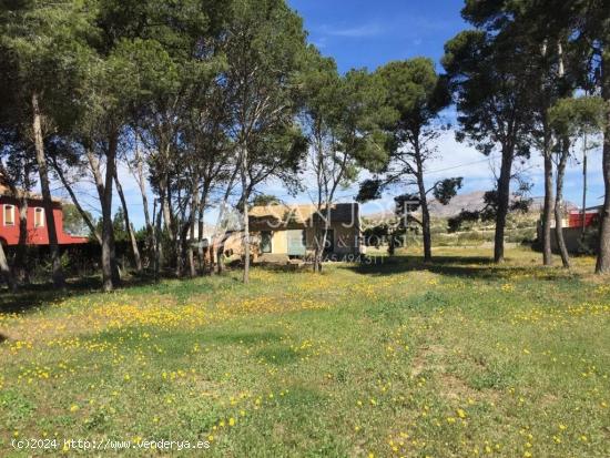  FINCA TERRENO URBANO EN ORITO, MONFORTE DEL CID, ALICANTE - ALICANTE 