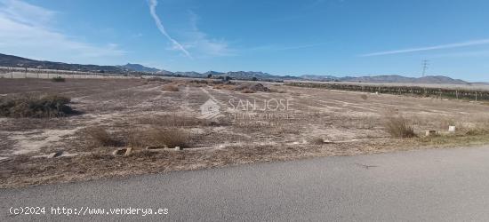 SE VENDE PARCELA DE TERRENO EN MONFORTE DEL CID - ALICANTE