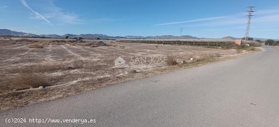 SE VENDE PARCELA DE TERRENO EN MONFORTE DEL CID - ALICANTE