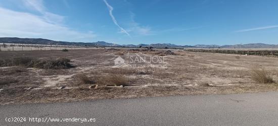 SE VENDE PARCELA DE TERRENO EN MONFORTE DEL CID - ALICANTE