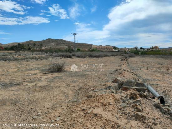 INMOBILIARIA SAN JOSE VENDE FINCA RUSTICA CERCA DEL PUEBLO DE HONDON DE LAS NIEVES - ALICANTE