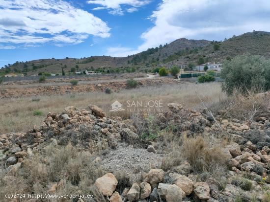 INMOBILIARIA SAN JOSE VENDE FINCA RUSTICAEN EL RINCON- HONDON DE LAS NIEVES - ALICANTE