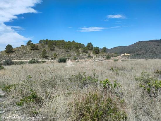 INMOBILIARIA SAN JOSE VENDE FINCA RUSTICAEN EL RINCON- HONDON DE LAS NIEVES - ALICANTE