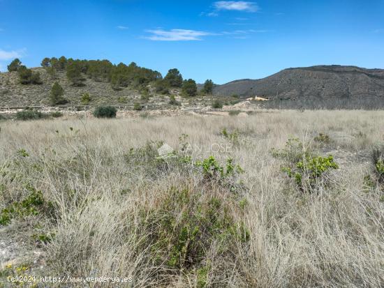 INMOBILIARIA SAN JOSE VENDE FINCA RUSTICAEN EL RINCON- HONDON DE LAS NIEVES - ALICANTE