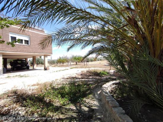  SE VENDE CHALET EN NOVELDA ZONA CAMPET a 5 MIN DEL PUEBLO. - ALICANTE 