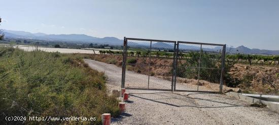 Se vende terreno rustico en muy buena zona a 20 minutos de alicante - ALICANTE