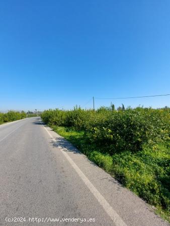 SE VENDE TERRENO URBANO EN TORREAGUERA - MURCIA