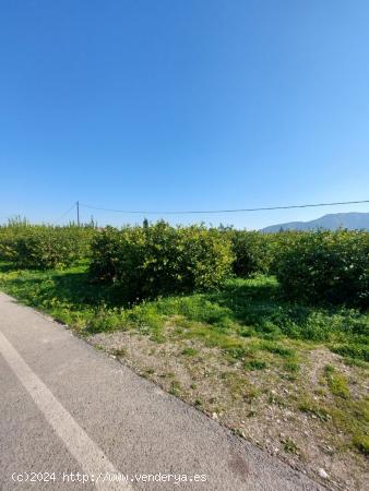 SE VENDE TERRENO URBANO EN TORREAGUERA - MURCIA