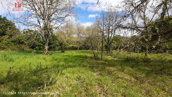  ECONÓMICA FINCA RÚSTICA EN VILAR DE ASTRÉS - ORENSE 