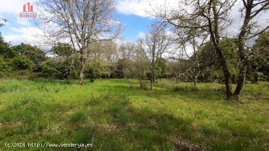 ECONÓMICA FINCA RÚSTICA EN VILAR DE ASTRÉS - ORENSE