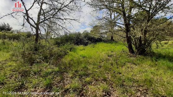 ECONÓMICA FINCA RÚSTICA EN VILAR DE ASTRÉS - ORENSE