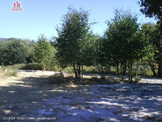 SE VENDE FINCA URBANIZABLE EN SAN MIGUEL DO CAMPO - ORENSE