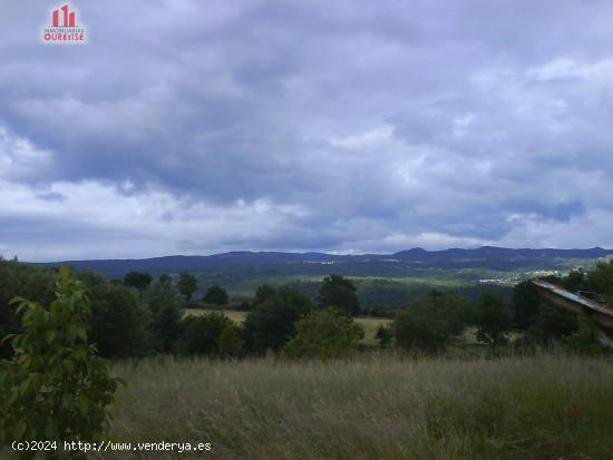 SE VENDE FINCA URBANIZABLE EN SAN MIGUEL DO CAMPO - ORENSE