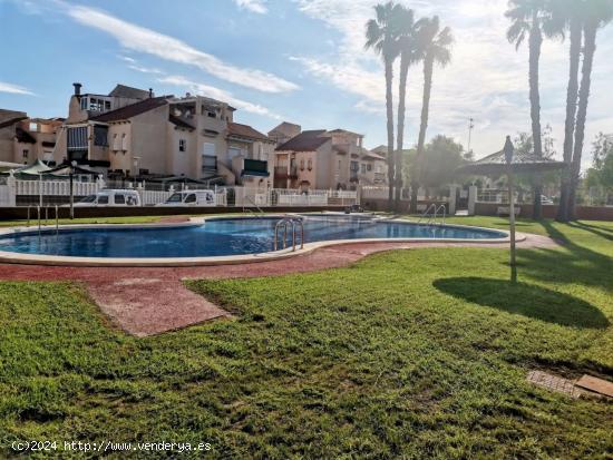 ORIHUELA COSTA BUNGALOW BAJO 2 HABS PISCINA 109.000 EUROS.... - ALICANTE