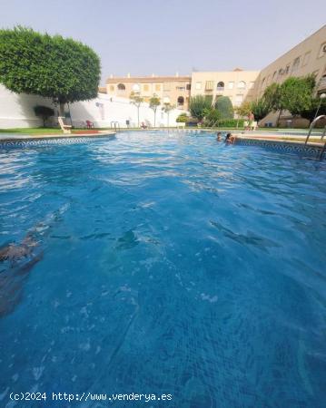 TORREVIEJA MUY CERCA PLAYA 3 HABS PISCINA GARAJE 116.000 EUROS... - ALICANTE