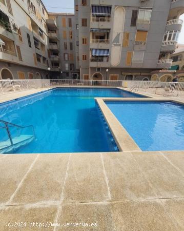 TORREVIEJA MUY CERCA PLAYA 2 HABS GRAN TERRAZA PISCINA 93.000 EUROS.. - ALICANTE