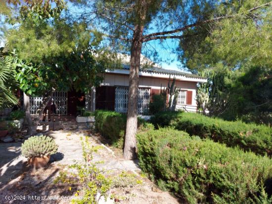 VENTA DE MAGNÍFICA PARCELA CON CHALET EN AGRIDULCE - MURCIA