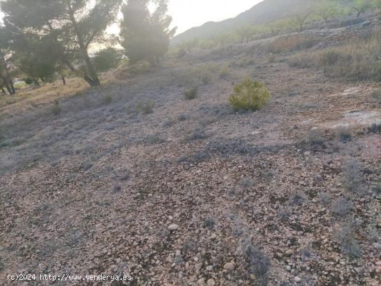 Parcela de terreno en Ubeda  Errada - ALICANTE