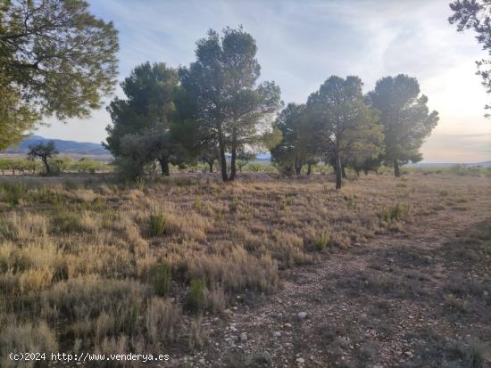 Parcela de terreno en Ubeda  Errada - ALICANTE