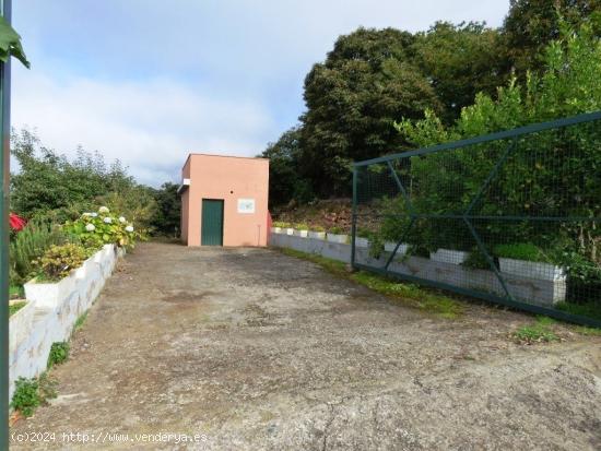 FINCA RÚSTICA CON CUARTO APEROS EN LA OROTAVA, LAS MEDIANIAS - SANTA CRUZ DE TENERIFE