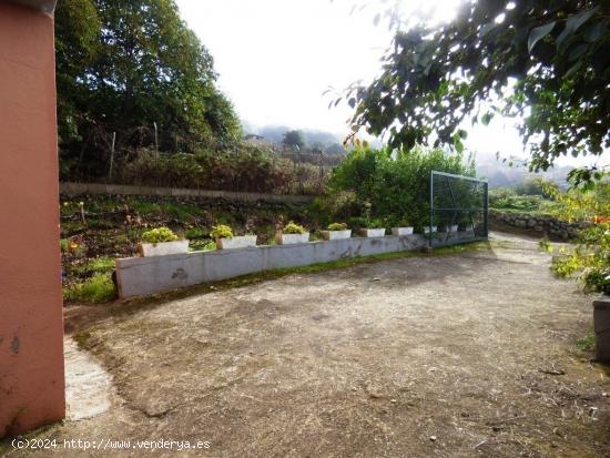 FINCA RÚSTICA CON CUARTO APEROS EN LA OROTAVA, LAS MEDIANIAS - SANTA CRUZ DE TENERIFE