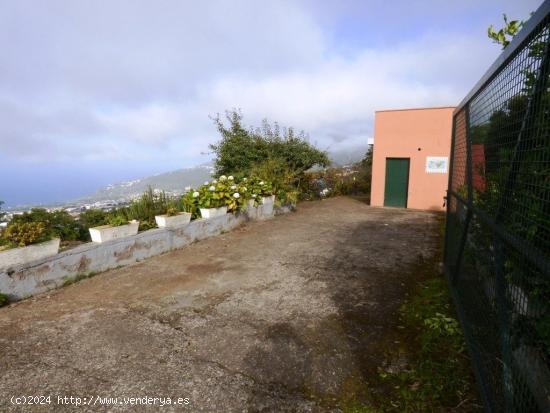 FINCA RÚSTICA CON CUARTO APEROS EN LA OROTAVA, LAS MEDIANIAS - SANTA CRUZ DE TENERIFE