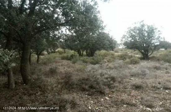 Parcela en Almaluez - SORIA