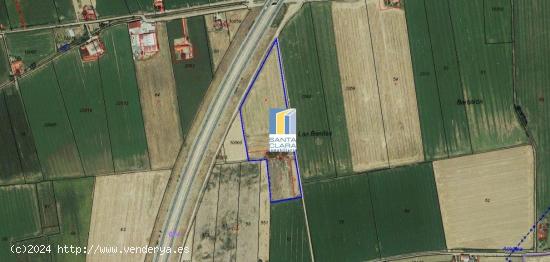 FINCA DE REGADÍO EN VENTA EN ZAMORA - ZAMORA