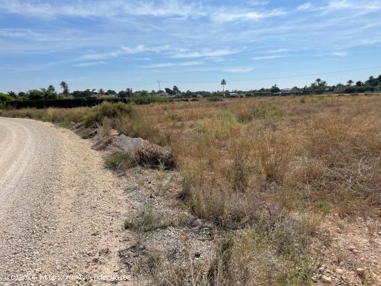 CARRETERA SANTA POLA ALTURA MOLINETA - ALICANTE