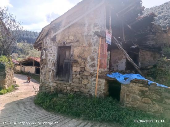 Terreno urbano con proyecto incluido - CANTABRIA