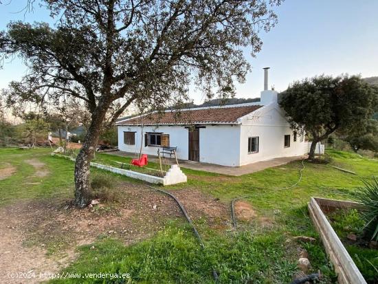  ESPECTACULAR FINCA RUSTICA DE 40 HECTÁREAS EN ALMADÉN, CIUDAD REAL - CIUDAD REAL 