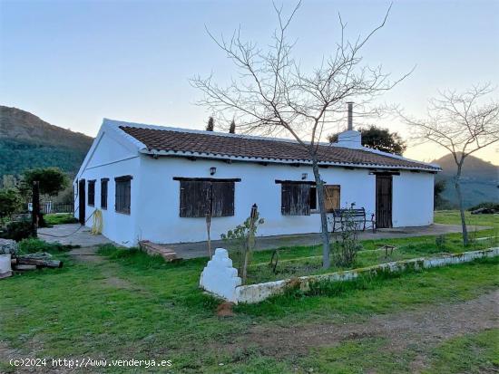 ESPECTACULAR FINCA RUSTICA DE 40 HECTÁREAS EN ALMADÉN, CIUDAD REAL - CIUDAD REAL